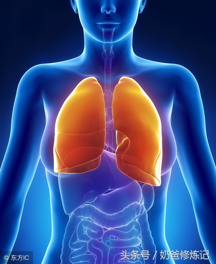 新生儿肺透明膜病的主要病因,认知婴幼儿