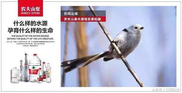 品牌管理是高知名度还是美誉度,怎么理解品牌管理