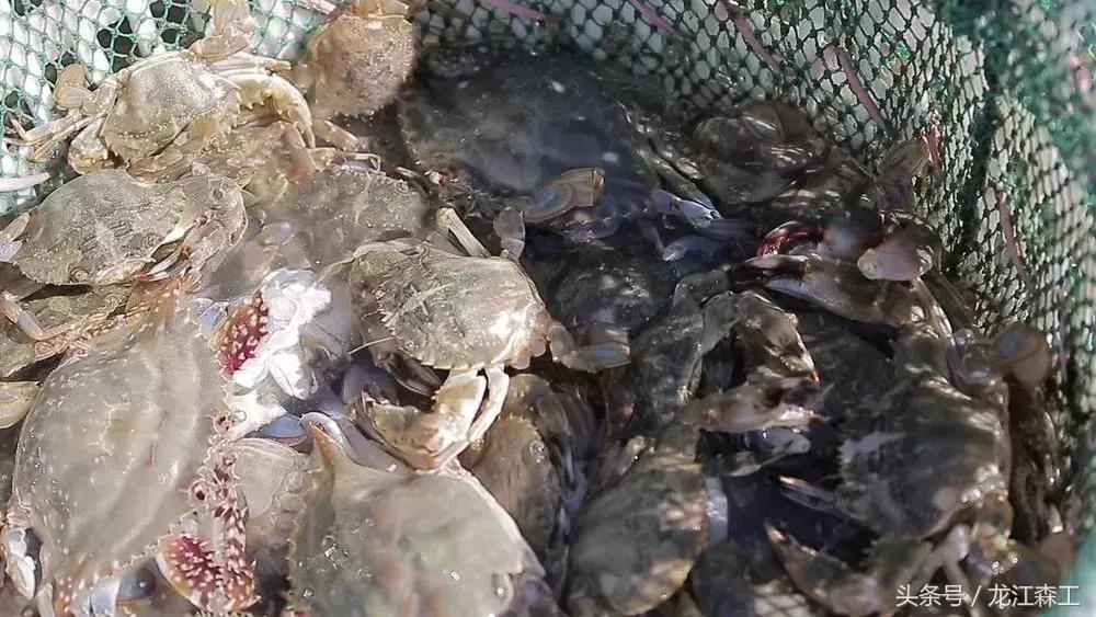 吃海鲜看沙滩,吃海鲜看泳池