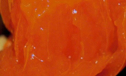 柿子和酸奶同吃的后果,酸奶和柿子吃会中毒吗