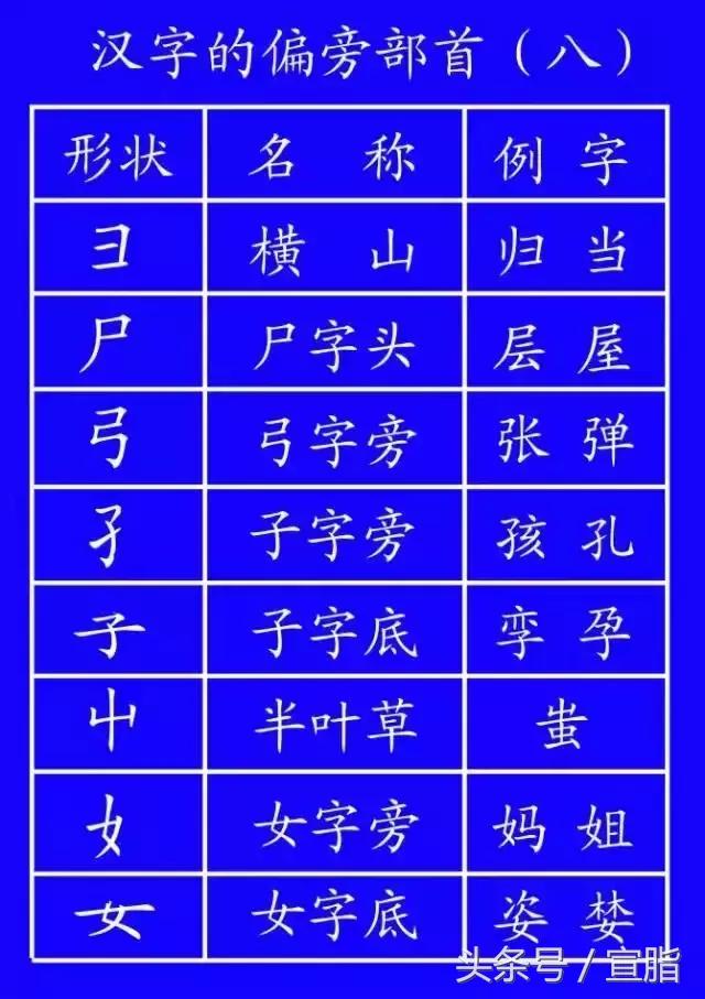 权威专家教你正确的汉字笔顺技巧,专家揭秘汉字正确的笔顺技巧