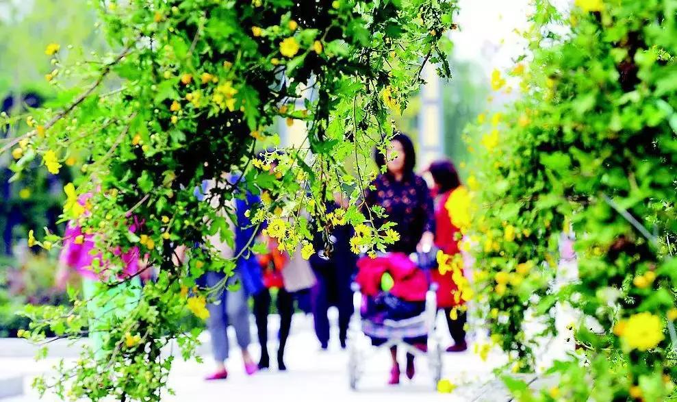 太原人到手的钱要变多了！10月，这一大波好消息影响你的生活……