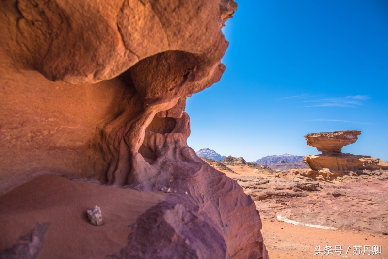 最佛系的游牧民族：没有*队军**，不承认法律，为自由抛弃城市