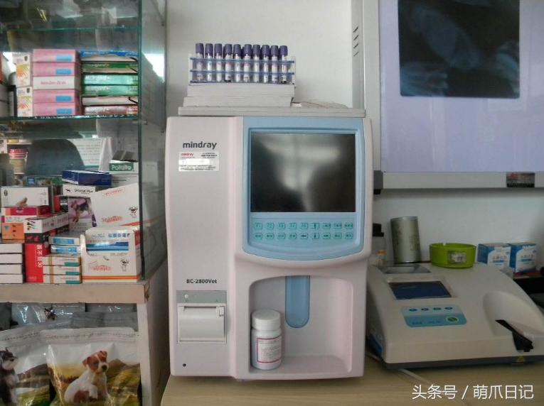 去宠物医院看病为什么这么贵,一般的宠物医院看病贵吗