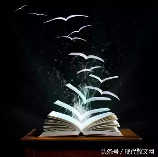 经典文章阅读100篇,经典文章阅读全文