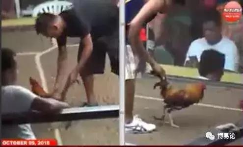 热刺竞彩推荐,热刺对曼城足球竞猜