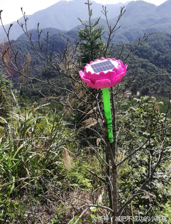 莆田有座“头像山”，下有阶数九九九，不知可曾仙游过？