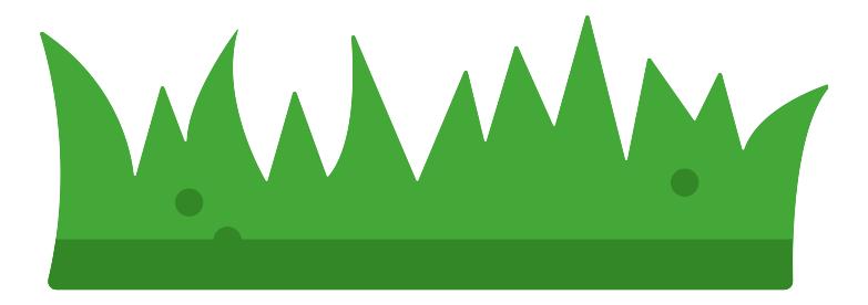 武汉汉口江滩芦苇花,秋高气爽去汉口江滩赏花