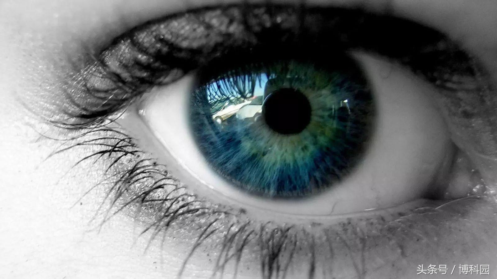 失明40年重见光明基因疗法创奇迹,基因疗法治疗罕见失明