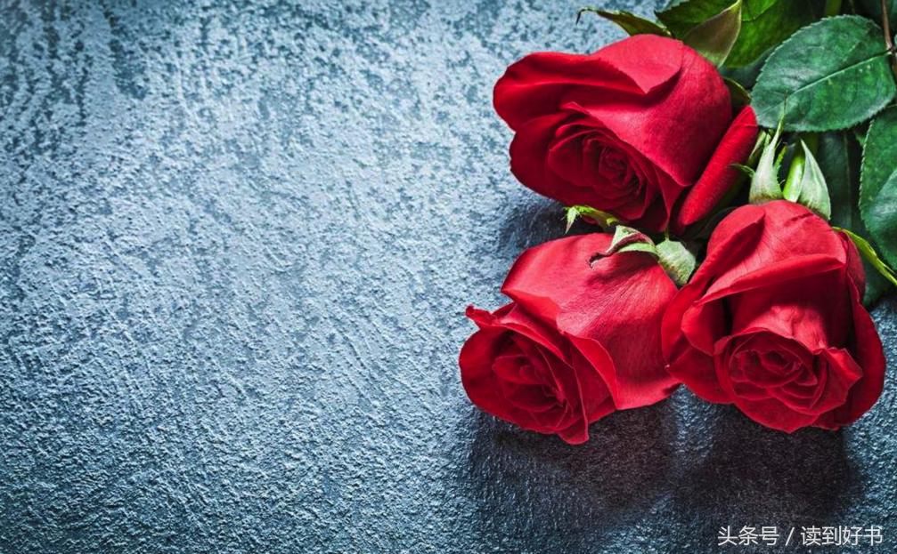 各种花的寓意及花语代表爱,黄玫瑰代表着哪些花语和寓意