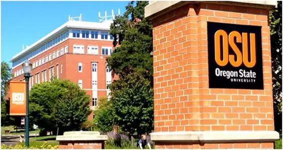 十大冷门高薪专业排名,这十大专业冷门却高薪