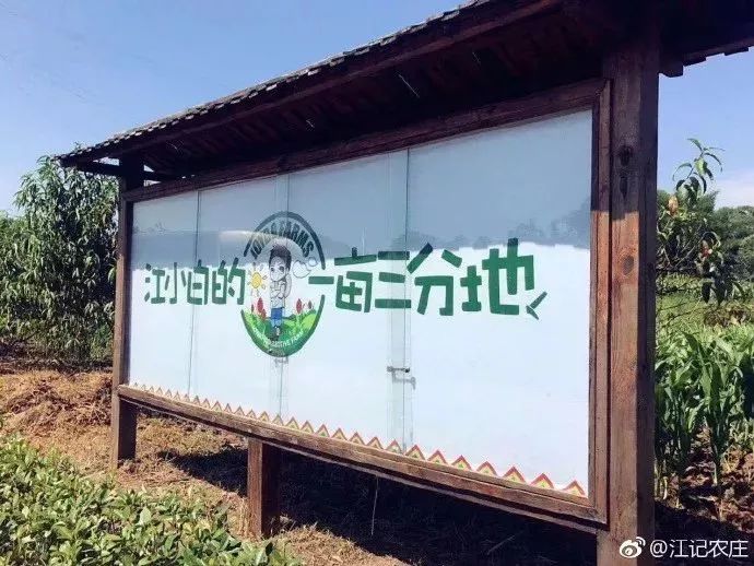 江小白卖的最火的产品,江小白销量秘诀