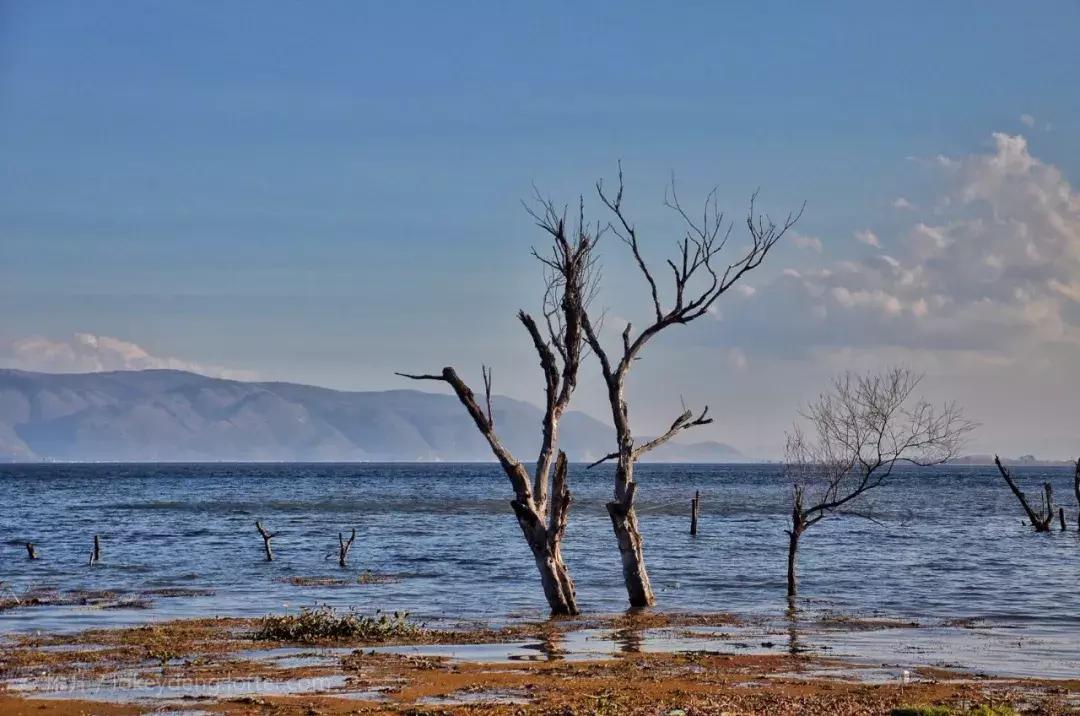大理民宿经营的问题 (大理民宿什么时候恢复营业)