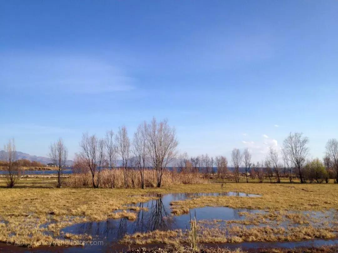 大理民宿经营的问题 (大理民宿什么时候恢复营业)