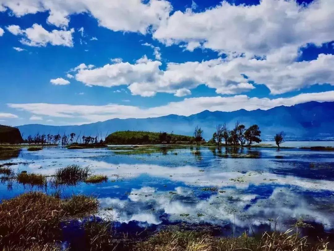 大理民宿经营的问题 (大理民宿什么时候恢复营业)