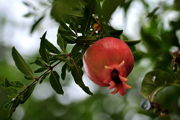 第一次为足球流泪,第一次为和自己无关的人流泪