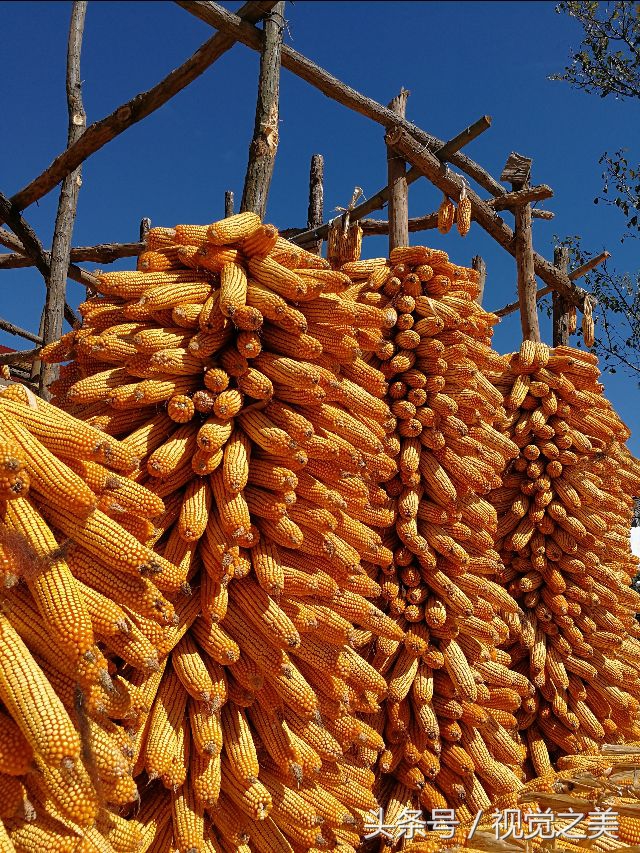 金秋最美的家园,金秋农家院