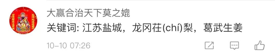 杨超越全村的希望完整版对话,杨超越全村的希望