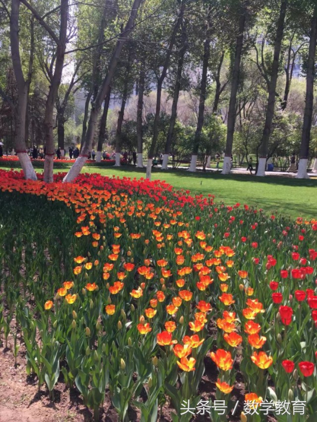 有关于足球的数学知识,数学知识有什么用呢