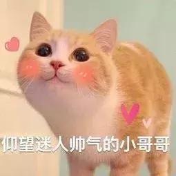 适合秋冬的男装淘宝店,淘宝里的男装潮流时尚店铺