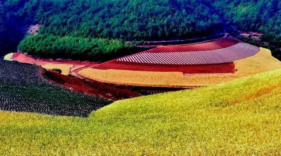 10月新低！广州出发机票仅180块！坐飞机玩转抖音最火网红地