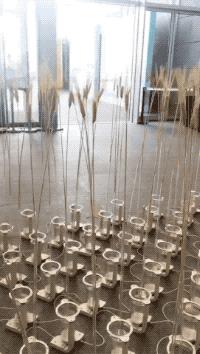 会“鼓掌“的机器人，无风而动的“麦田”……深圳国际创客周上好玩有趣的都在这儿！