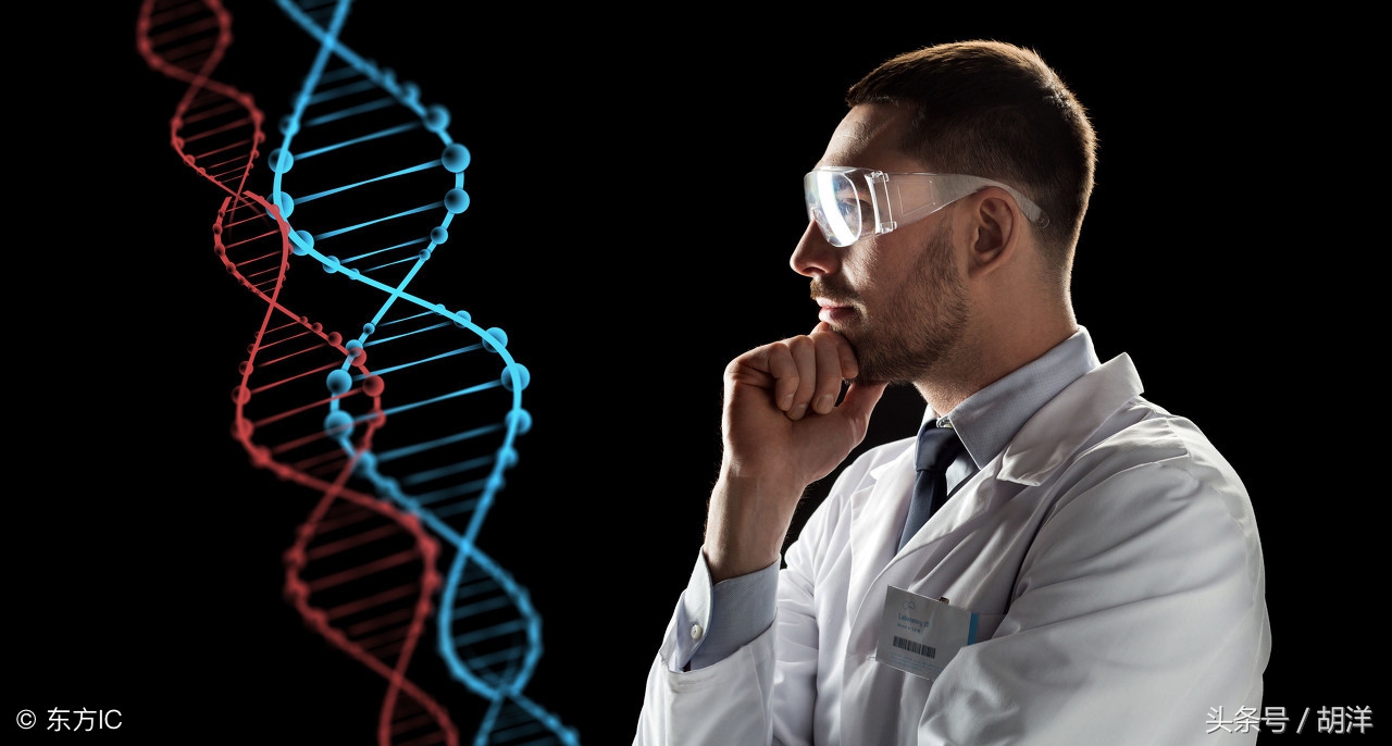 肺癌基因检测egfr是什么意思,肺癌中egfr是属于基因检测吗