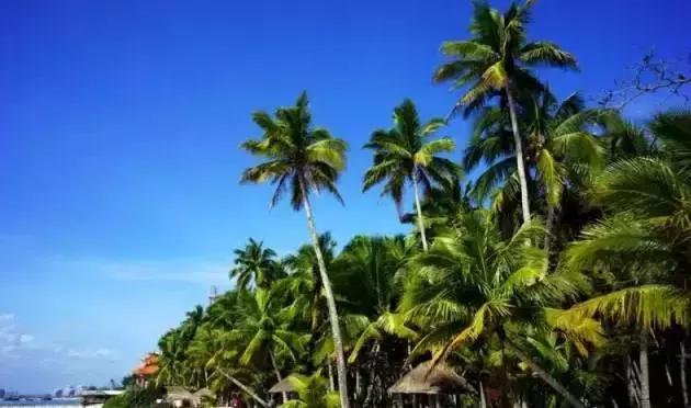 海南最值得去的几个地方,海南博鳌美不美