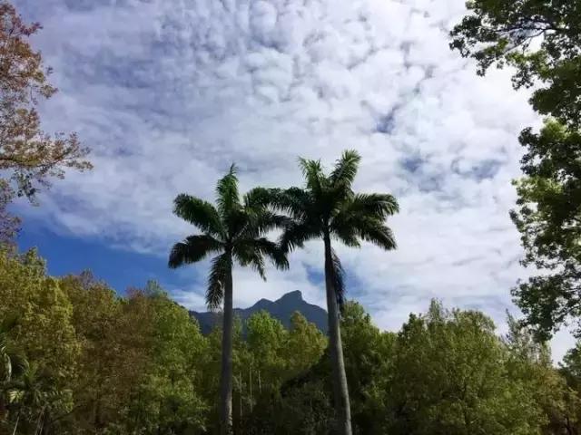 海南最值得去的几个地方,海南博鳌美不美