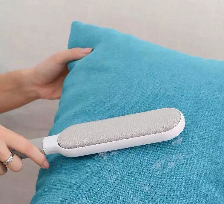 哈哈哈哈哈哈哈哈这届猫奴的智商有点高！