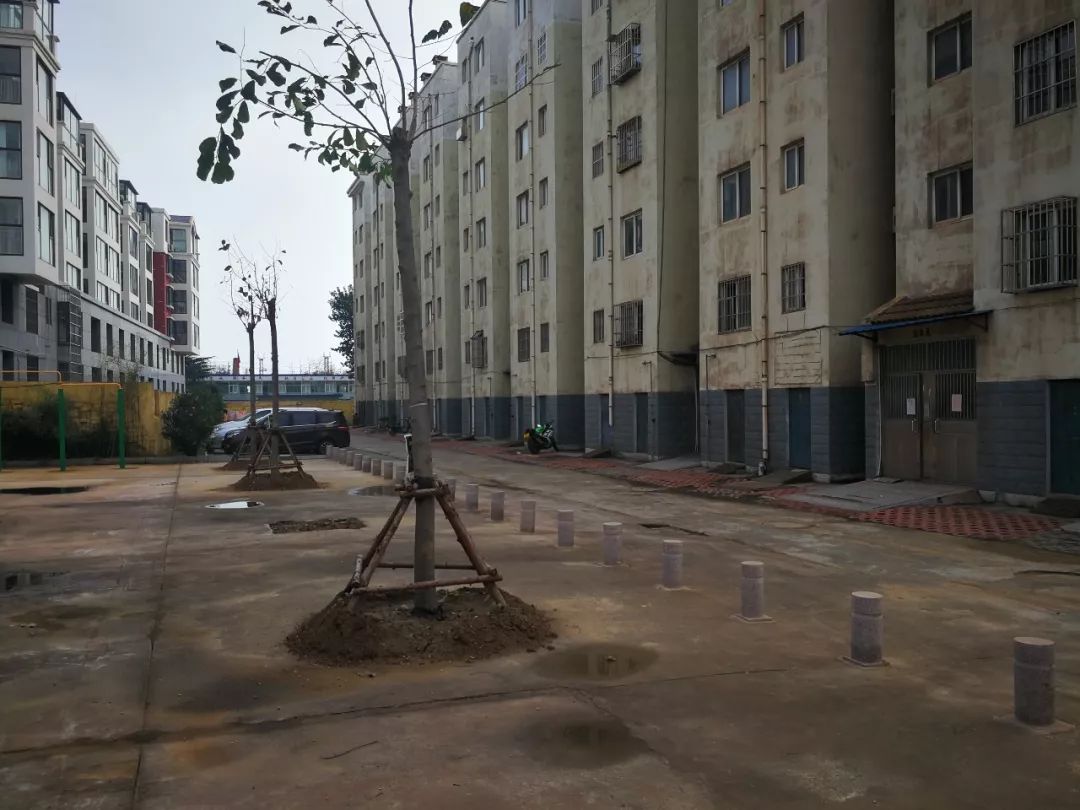 美了美了钢琴曲二胡,美了美了越南红歌