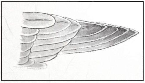 工笔禽鸟技法视频,工笔鸟翅膀画法