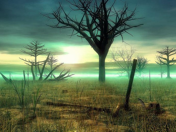 曼珠沙华的传说图片 (曼珠沙华的传说是真的吗)