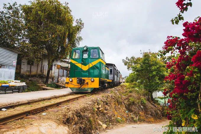 铚傞娓歌,鑺藉簞铚傞娓歌