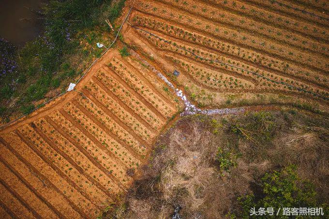 铚傞娓歌,鑺藉簞铚傞娓歌