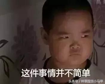 怎样才能看出来代购是真是假,网上代购是真是假