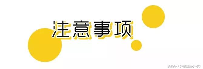 网上代购是真是假,真代购和假代购的区别
