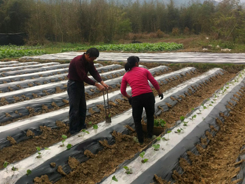 农民代加工创业项目,农民适合室内小作坊创业50个项目