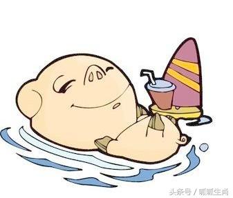 丑牛和什么生肖最好,十二生肖和什么生肖不合财