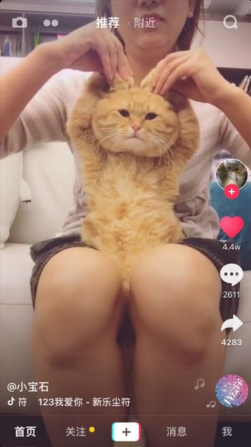 抖音神曲原来还可以这样玩,抖音神曲怎么玩