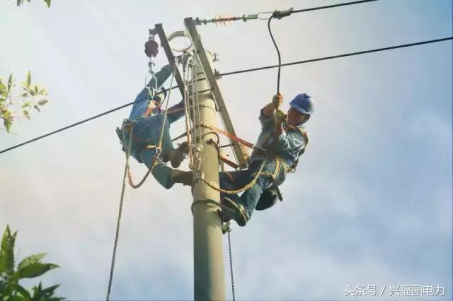 电网爬电线杆,爬电线杆