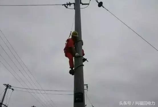 电网爬电线杆,爬电线杆