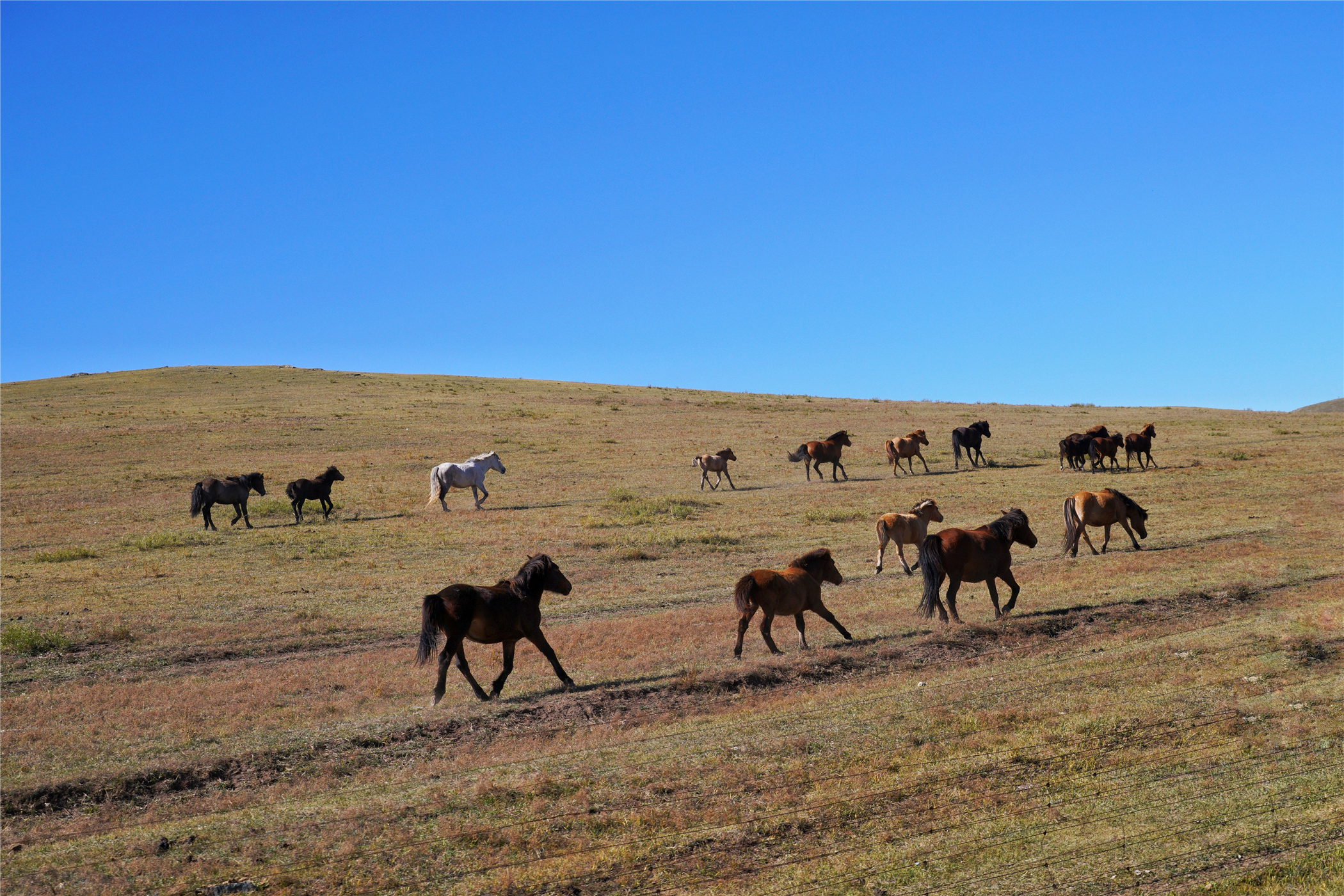 锡林郭勒大草原冬天旅游攻略,锡林郭勒大草原旅游攻略全部
