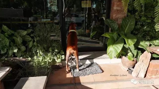 游记，小城素可泰，这里有你不知道的泰国味道