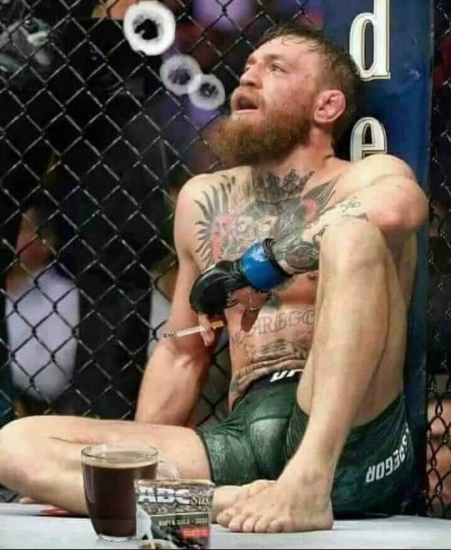 小鹰哈比布在ufc地位 (小鹰哈比布现在还在ufc吗)