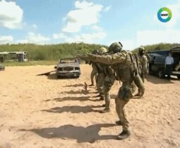 中国军用95步枪数,中国95式步枪