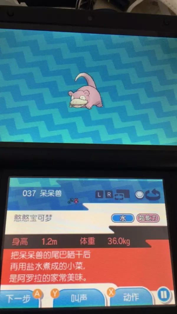 《精灵宝可梦》怎么看精灵品质,精灵宝可梦小精灵