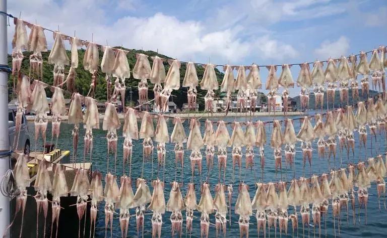 东京和北海道哪里旅游好一点,东京和北海道哪里旅游便宜