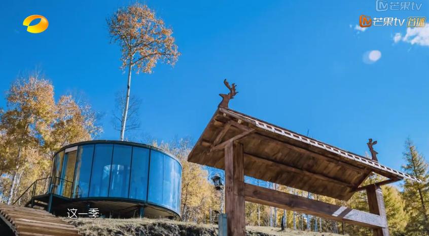 刘涛背的包,包贝尔刘涛同款