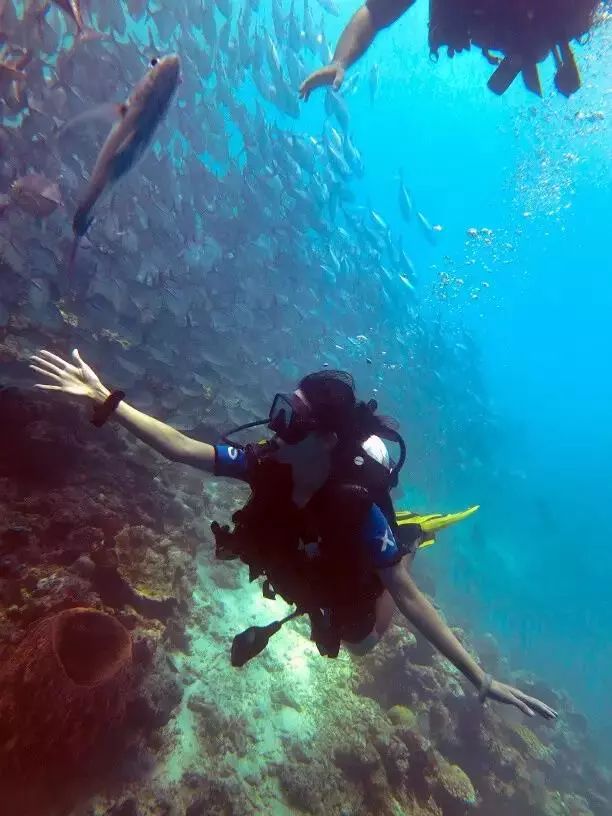 潜水证需要考哪些,考一个潜水证大约需要多久